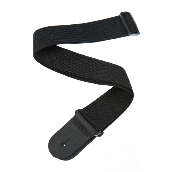  /  PLANET WAVES PWS100