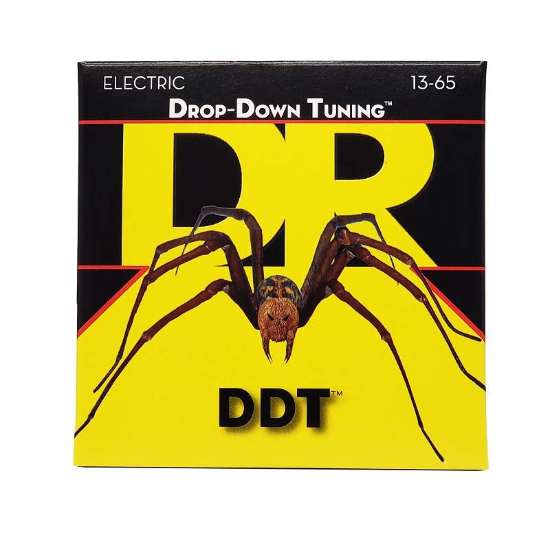    /     DR DDT-13