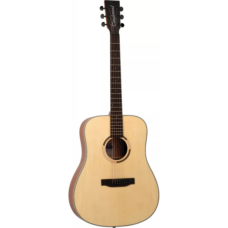 Акустичні гітари / Гітара акустична TANGLEWOOD TS5